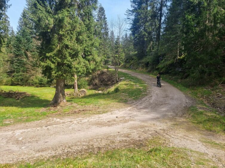 5a3296d0-6f69-4b84-8a10-b991e01da505