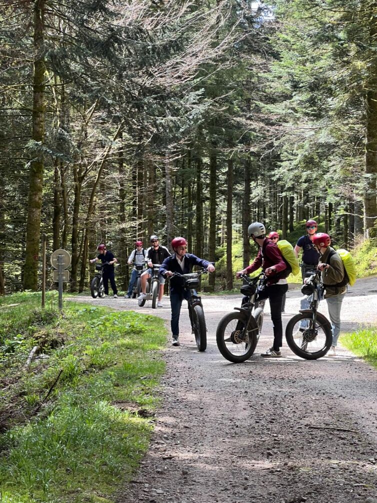 70159148-6660-433b-980b-a457fc9419d1