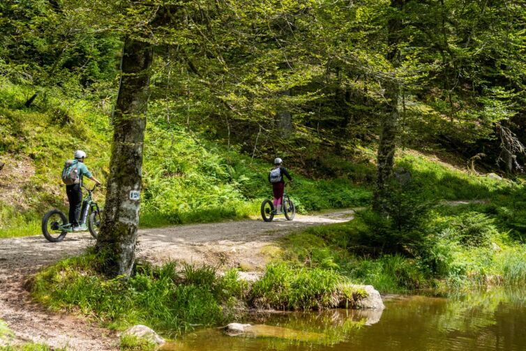 Vers l'étang de Séchemer en trottinettes électriques à La Bresse Green Mojo Vosges